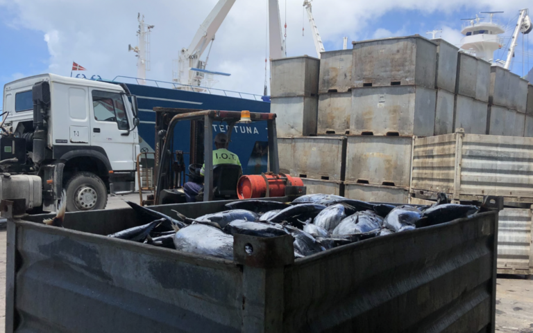 Traceability, Targeting, and Transparency in US Seafood Trade Programming